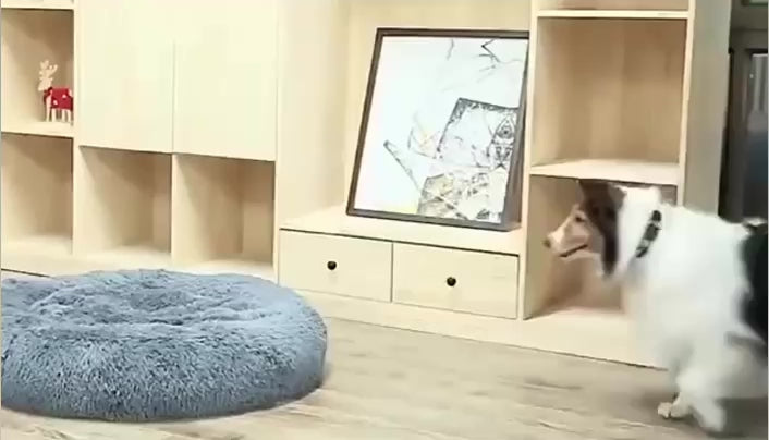 Charger la vidéo : 