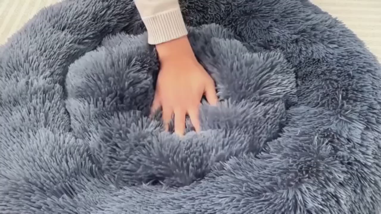 Charger la vidéo : 